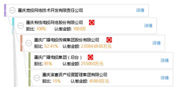 重慶寬視網絡技術開發有限責任公司 創新驅動網絡技術開發與數字化轉型