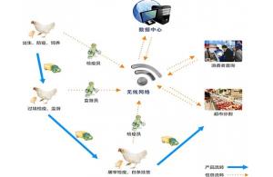 賽億科技 以網(wǎng)絡(luò)技術(shù)開(kāi)發(fā)為基石，驅(qū)動(dòng)物聯(lián)網(wǎng)解決方案創(chuàng)新
