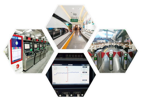 光華綻放 一位清華博士返鄉(xiāng)創(chuàng)業(yè)，以網(wǎng)絡(luò)技術(shù)賦能萬(wàn)物互聯(lián)